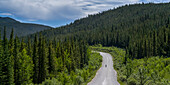 A cyclist rides in the middle of the road with dense forest in the foothills of the Rocky mountains; Longview, Alberta, Canada