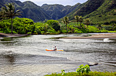 Kayaker paddles in a bay surrounded by tropical plants and mountains, Halawa Bay, Molokai, Hawaii, United States of America