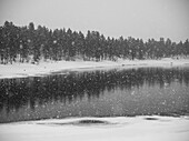 Snow Falling Over A Lake In Winter; Arjeplog, Norrbotten County, Sweden