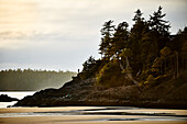 A Dog And It's Owner Stand Along The Coast During Low Tide At Sunset; Tofino, British Columbia, Canada