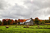 Barn And Hay Bales In A Field With An Autumn Coloured Forest; Dunham, Quebec, Canada