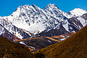 Snowy, unnamed mountains rise above the tundra of Denali National Park in early summer; Alaska, United States of America