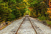 Railroad tracks along the Saco River lined with trees in autumn coloured foliage, White Mountains National Forest; New England, United States of America