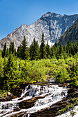 Creek waterfalls in alpine meadow with rugged mountain and blue sky in the background; Kananaskis Country, Alberta, Canada