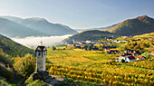 Spitz vom Roten Tor, Rotes Mäuerl, Wachau, Niederösterreich, Österreich