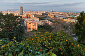 city view from the Montjuic, Barcelona, Catalonia, Spain