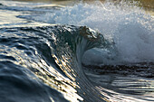 Ocean wave, north shore of Oahu, Hawaii Islands, USA