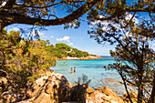 Rocks and trees in Capriccioli beach, Arzachena Costa Smeralda, Olbia-Tempio province, Sardinia district, Italy