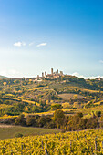 Historic centre of San Gimignano from vineyards in autumn. San Gimignano, Siena province, Tuscany, Italy, Europe