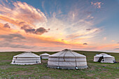 Mongolian nomadic traditional gers at sunset, Middle Gobi province, Mongolia