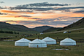 Nomadic gers and livestock in the background at sunset, Burentogtokh district, Hovsgol province, Mongolia