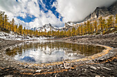 The Nero Lake in autumn (Buscagna Valley, Alpe Devero, Alpe Veglia and Alpe Devero Natural Park, Baceno, Verbano Cusio Ossola province, Piedmont, Italy, Europe)
