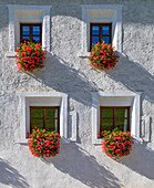 Window with Geraniums (Pelargonium sp,) on a facade of an old building in South Tyrol, Rasen-Antholz, Bolzano, Italy