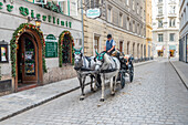 Vienna, Austria, Europe, The traditional Fiaker horse carriages