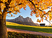 Sciliar and Punta Santner seen from meadows around Castelrotto, Seiser Alm, Bolzano province, South Tyrol, Italy