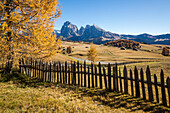 View of Sassolungo and Sassopiatto from Alpe di Siusi/Seiser Alm during autumn, Dolomites, province of Bolzano, South Tyrol, Italy