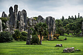 Stone Forest or Shilin, Kunming, Yunnan Province, China, Asia, Asian, East Asia, Far East