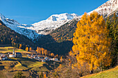 Proves municipality in autumn Europe, Italy, Trentino Alto Adige region, Bolzano district, Proves municipality, Non valley