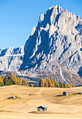 Alpe di Siusi with Mount Sassolungo and Mount Sassopiatto on yhe background, South tyrol, Italy