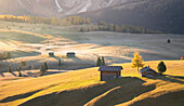 Alpe di Siusi, South Tyrol, Italy