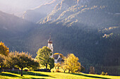 Alpe di Siusi, South Tyrol, Italy