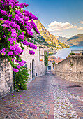 Limone sul Garda, Garda Lake, Brescia Province, Lombardy, Italy