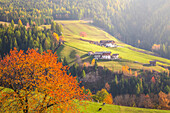 Funes Valley, Bolzano Province, Trentino Alto Adige, Italy