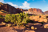 Capitol Reef National Park, Torrey, Utah, USA