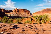 Capitol Reef National Park, Torrey, Utah, USA