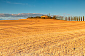 Europe,Italy,Siena district,Orcia Valley, San Quirico d'Orcia.