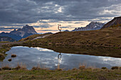 Laste Alm, Dolomites, Rocca Pietore, Belluno province, Veneto, Italy