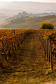 The vineyards and the castle of Grinzane Cavour in Autumn. Italy, Piedmont, Cuneo district, Langhe