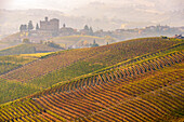 The vineyards and the castle of Grinzane Cavour in Autumn, Italy, Piedmont, Cuneo district, Langhe