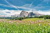 Alpe di Siusi/Seiser Alm, Dolomites, South Tyrol, Italy