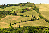 Tuscany, provence of Siena, La Foce at Tuscany hills, Italy