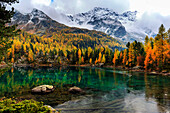 Autumn contrast at Lagh da Saoseo, Val Poschiavo, Graubünden, Switzerland