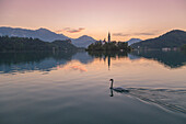 Bled Island and Lake Bled. Bled, Upper Carniolan region, Slovenia.