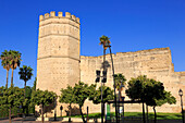 Alcazar Castle, Jerez de la Frontera, Andalusia, Spain, Europe