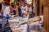 Fischladen in der Altstadt von Bologna, Via Drapperie, Bologna, Emilia Romania, Italien, Europa