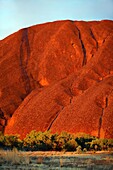 Uluru Ayer's Rock, Central Australia