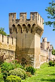 Defensive wall and tower, a section of the ramparts near the Porte de la Republique, Avignon, Vaucluse, Provence-Alpes-Cote d'Azur, France.