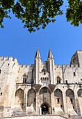 Tree framed Gothic twin towered facade of the Palais Neuf, Palais des Papes, Palace Square, Avignon, Vaucluse, Provence-Alpes-Cote d'Azur, France.
