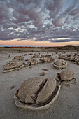 Egg Factory at dawn, Bisti Wilderness, New Mexico, United States of America, North America