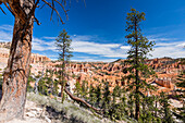 View of hoodoo formations from the Fairyland Trail in Bryce Canyon National Park, Utah, United States of America, North America
