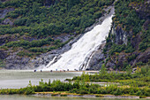 Nugget Falls Cascade, elevated view from Mendenhall Glacier Visitor Centre, Tongass National Forest, Juneau, Alaska, United States of America, North America