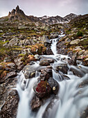 Flowing water of a creek, Alp Da Cavloc, Maloja Pass, Bregaglia Valley, Engadine, Canton of Graubunden, Switzerland, Europe