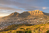 Table Mountain at dawn, Cape Town, Western Cape, South Africa, Africa