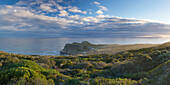 Cape of Good Hope, Cape Point National Park, Cape Town, Western Cape, South Africa, Africa