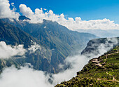 Canyon Colca View Point, Cruz del Condor, Arequipa Region, Peru, South America