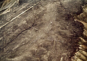 The Humming Bird Geoglyph, aerial view, Nazca, UNESCO World Heritage Site, Ica Region, Peru, South America